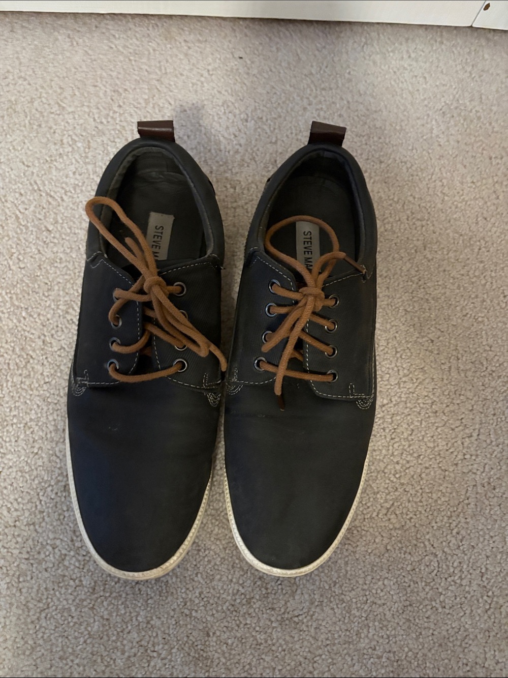 Steve Madden Black Sneakers with Brown Laces